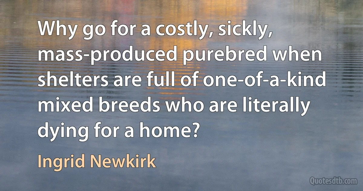 Why go for a costly, sickly, mass-produced purebred when shelters are full of one-of-a-kind mixed breeds who are literally dying for a home? (Ingrid Newkirk)