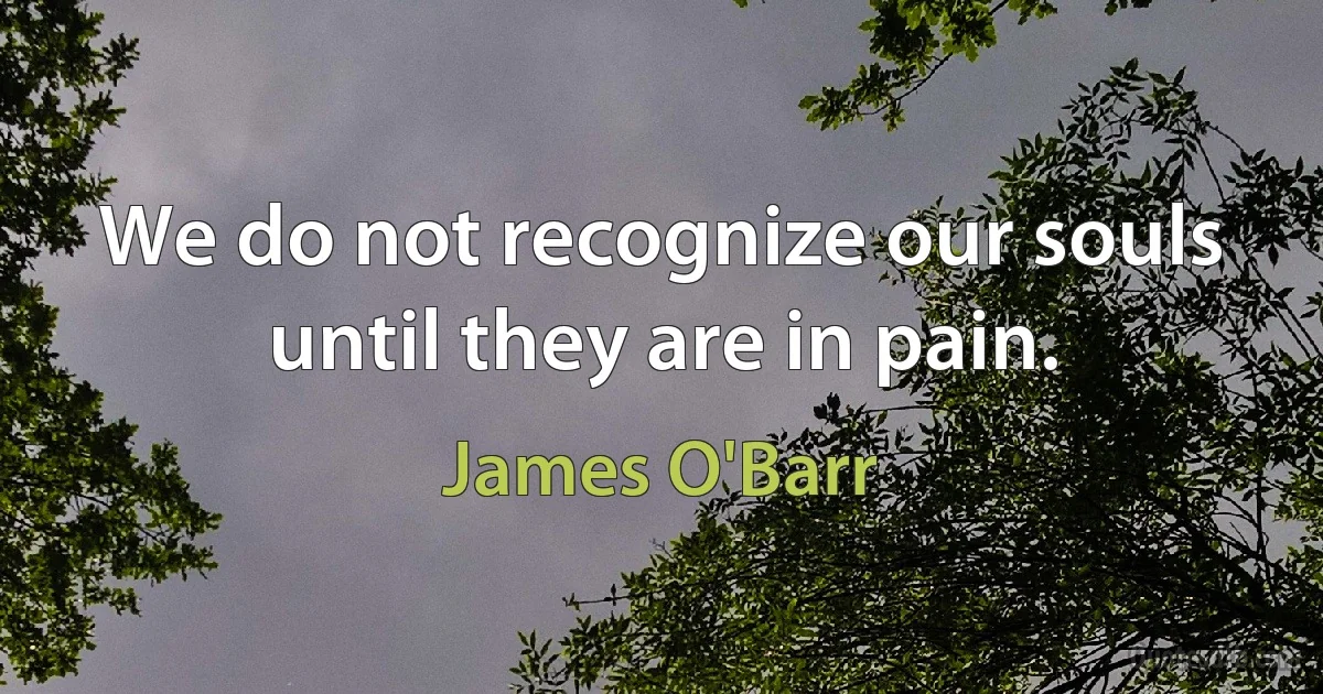 We do not recognize our souls until they are in pain. (James O'Barr)