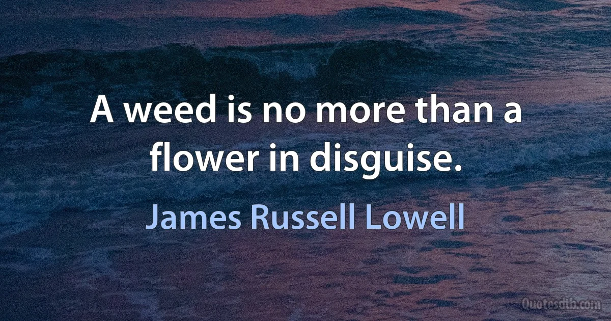 A weed is no more than a flower in disguise. (James Russell Lowell)