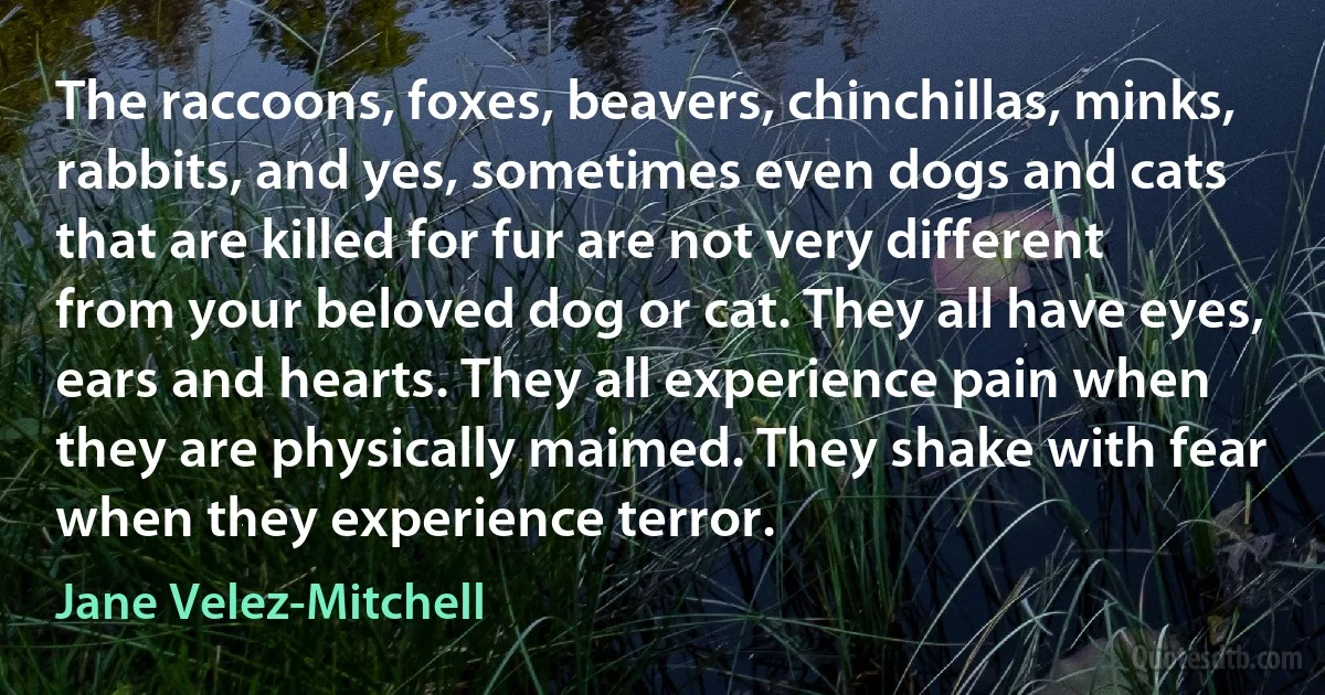 The raccoons, foxes, beavers, chinchillas, minks, rabbits, and yes, sometimes even dogs and cats that are killed for fur are not very different from your beloved dog or cat. They all have eyes, ears and hearts. They all experience pain when they are physically maimed. They shake with fear when they experience terror. (Jane Velez-Mitchell)