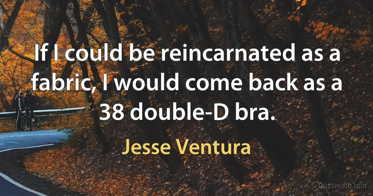 If I could be reincarnated as a fabric, I would come back as a 38 double-D bra. (Jesse Ventura)