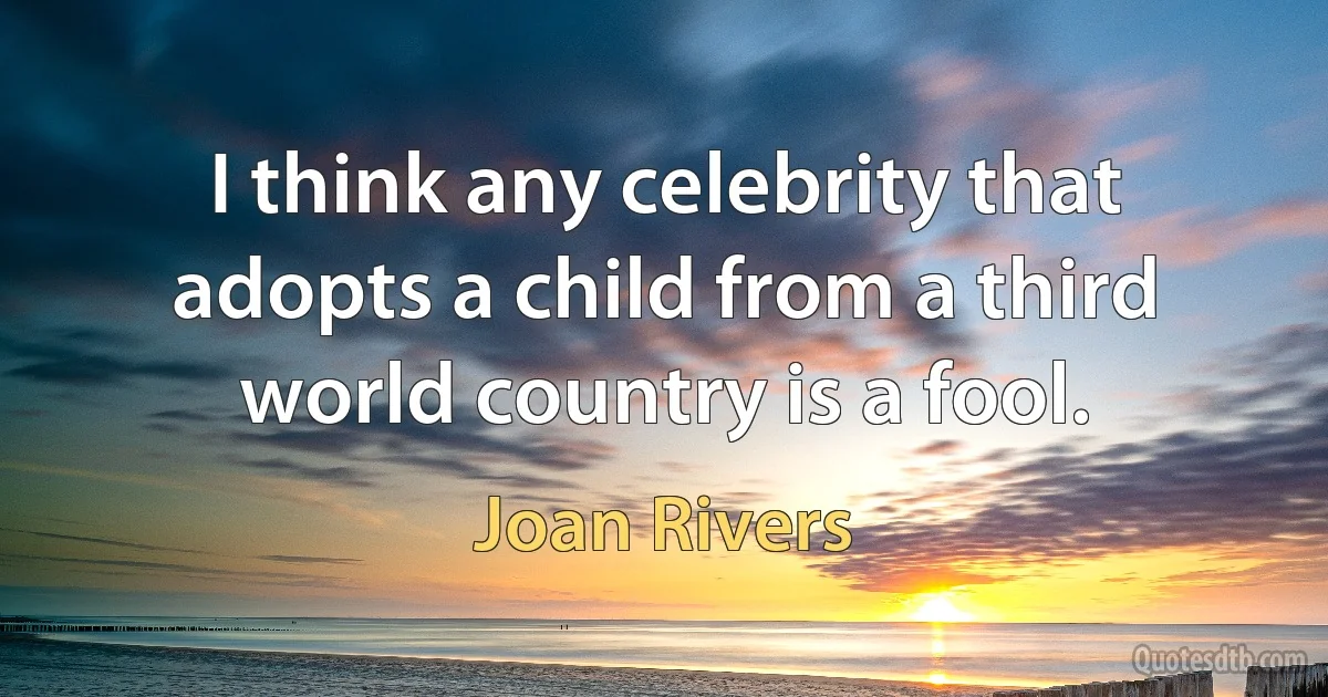 I think any celebrity that adopts a child from a third world country is a fool. (Joan Rivers)