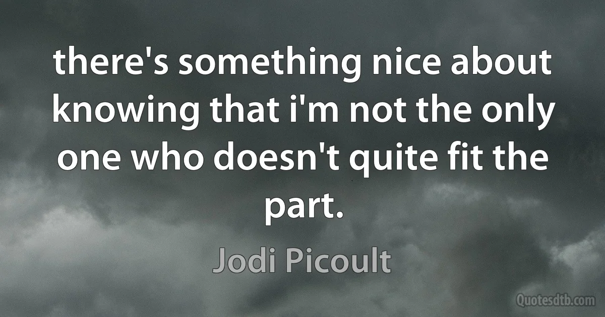 there's something nice about knowing that i'm not the only one who doesn't quite fit the part. (Jodi Picoult)