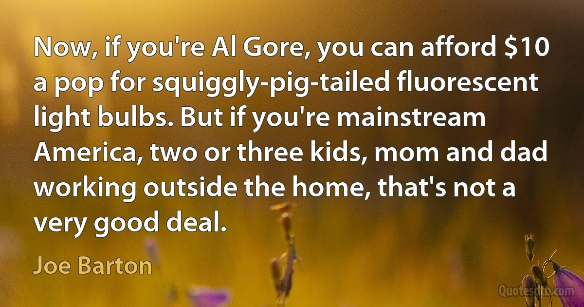 Now, if you're Al Gore, you can afford $10 a pop for squiggly-pig-tailed fluorescent light bulbs. But if you're mainstream America, two or three kids, mom and dad working outside the home, that's not a very good deal. (Joe Barton)