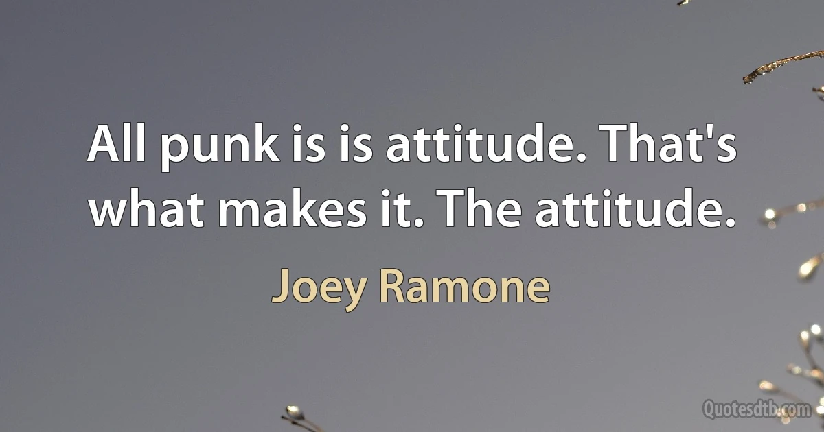 All punk is is attitude. That's what makes it. The attitude. (Joey Ramone)