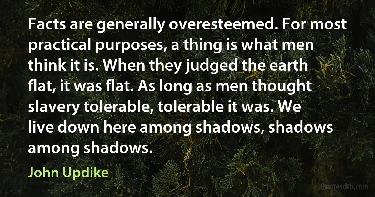 Facts are generally overesteemed. For most practical purposes, a thing is what men think it is. When they judged the earth flat, it was flat. As long as men thought slavery tolerable, tolerable it was. We live down here among shadows, shadows among shadows. (John Updike)