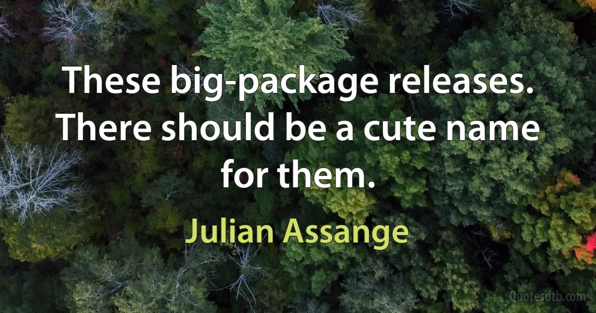 These big-package releases. There should be a cute name for them. (Julian Assange)