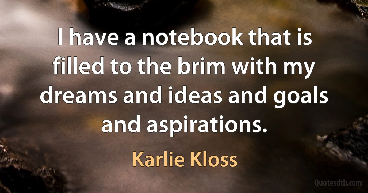 I have a notebook that is filled to the brim with my dreams and ideas and goals and aspirations. (Karlie Kloss)