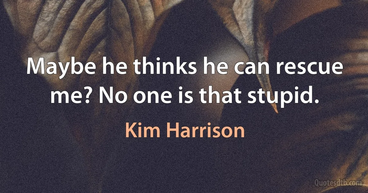 Maybe he thinks he can rescue me? No one is that stupid. (Kim Harrison)