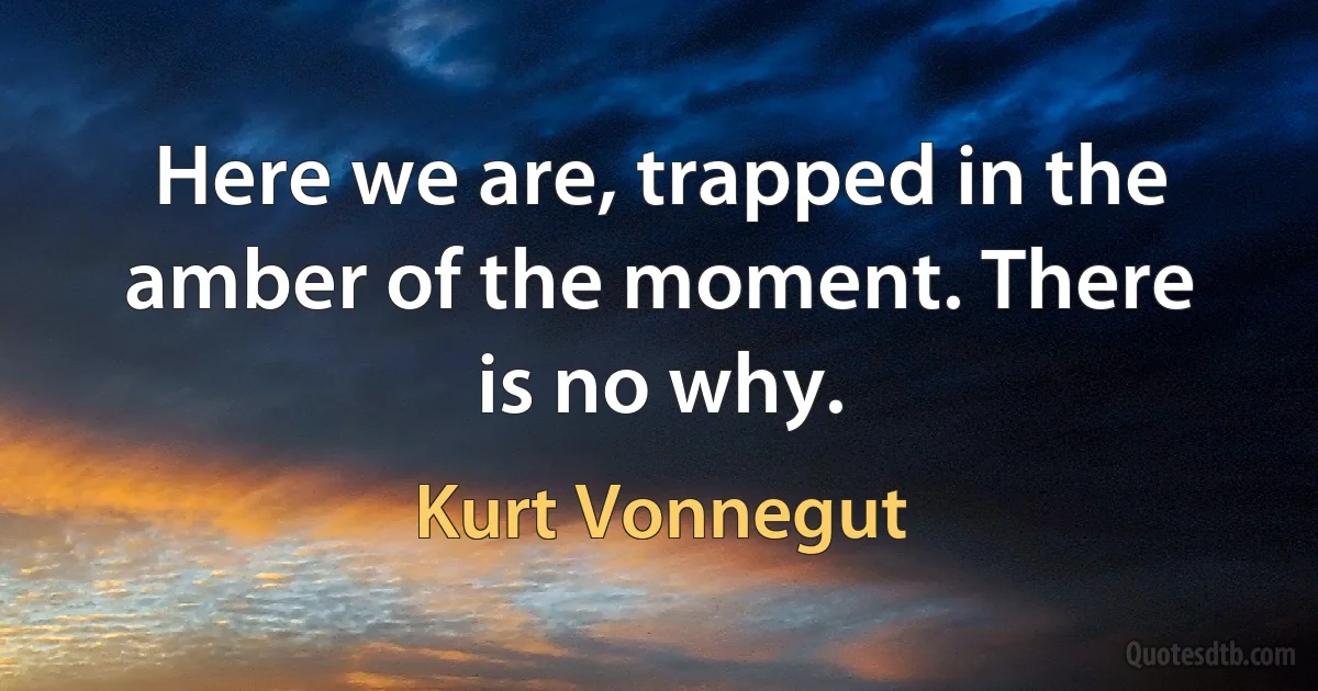 Here we are, trapped in the amber of the moment. There is no why. (Kurt Vonnegut)