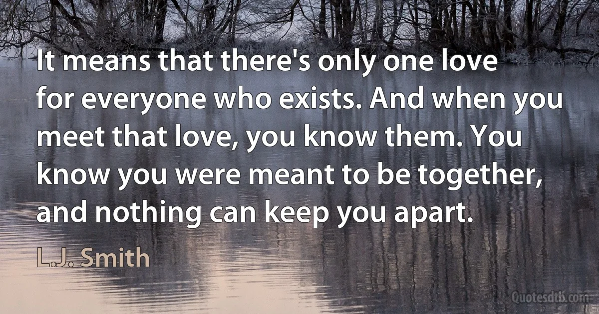 It means that there's only one love for everyone who exists. And when you meet that love, you know them. You know you were meant to be together, and nothing can keep you apart. (L.J. Smith)