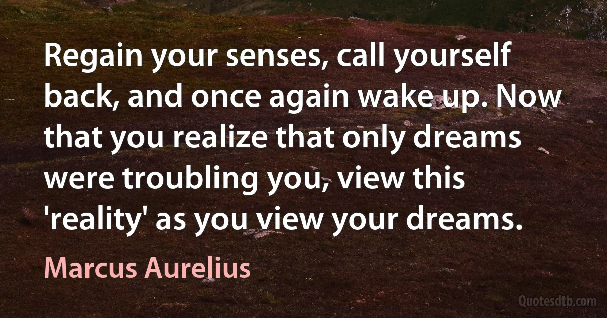 Regain your senses, call yourself back, and once again wake up. Now that you realize that only dreams were troubling you, view this 'reality' as you view your dreams. (Marcus Aurelius)