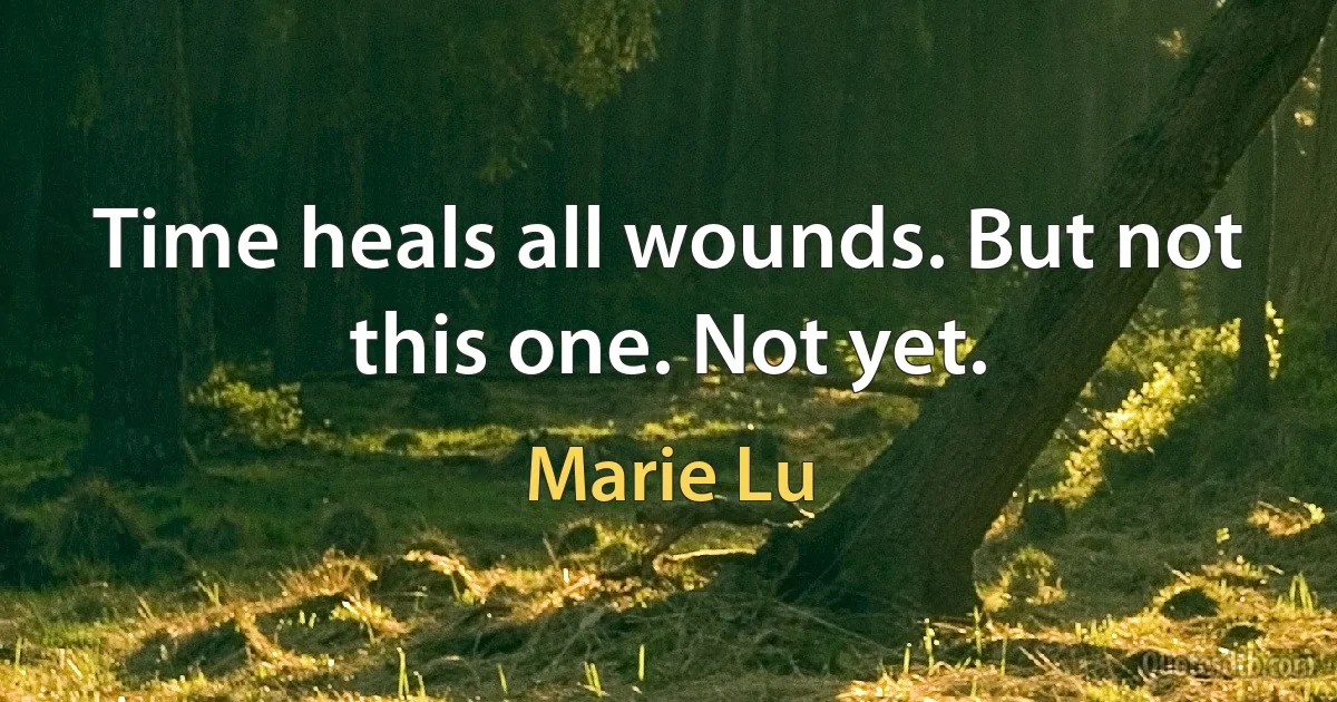 Time heals all wounds. But not this one. Not yet. (Marie Lu)