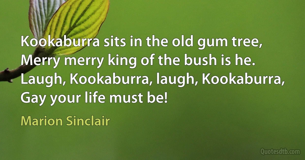 Kookaburra sits in the old gum tree,
Merry merry king of the bush is he.
Laugh, Kookaburra, laugh, Kookaburra,
Gay your life must be! (Marion Sinclair)