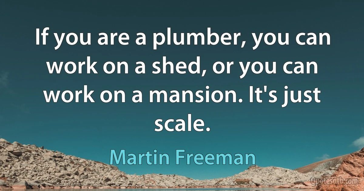 If you are a plumber, you can work on a shed, or you can work on a mansion. It's just scale. (Martin Freeman)