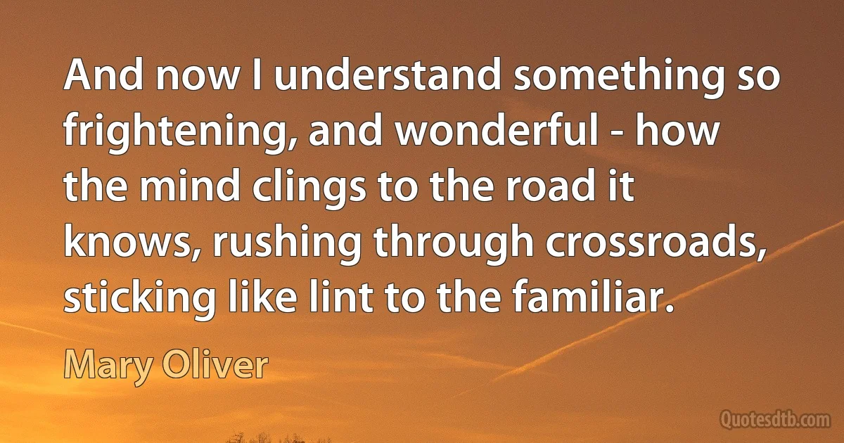 And now I understand something so frightening, and wonderful - how the mind clings to the road it knows, rushing through crossroads, sticking like lint to the familiar. (Mary Oliver)