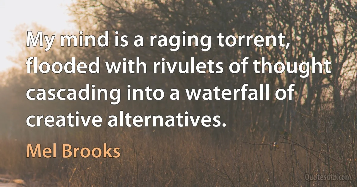 My mind is a raging torrent, flooded with rivulets of thought cascading into a waterfall of creative alternatives. (Mel Brooks)