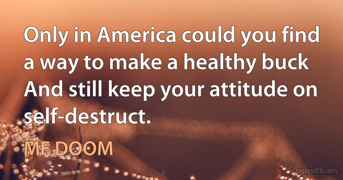 Only in America could you find a way to make a healthy buck
And still keep your attitude on self-destruct. (MF DOOM)