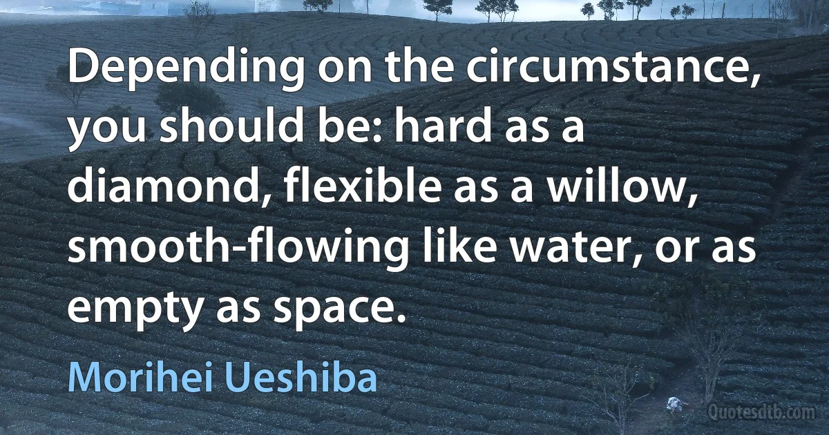 Depending on the circumstance, you should be: hard as a diamond, flexible as a willow, smooth-flowing like water, or as empty as space. (Morihei Ueshiba)