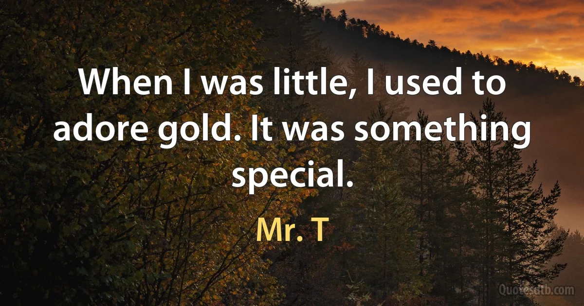 When I was little, I used to adore gold. It was something special. (Mr. T)