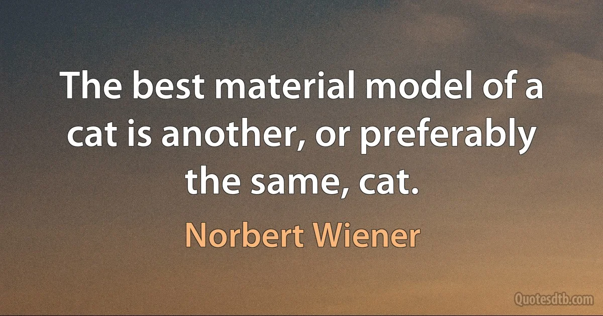 The best material model of a cat is another, or preferably the same, cat. (Norbert Wiener)