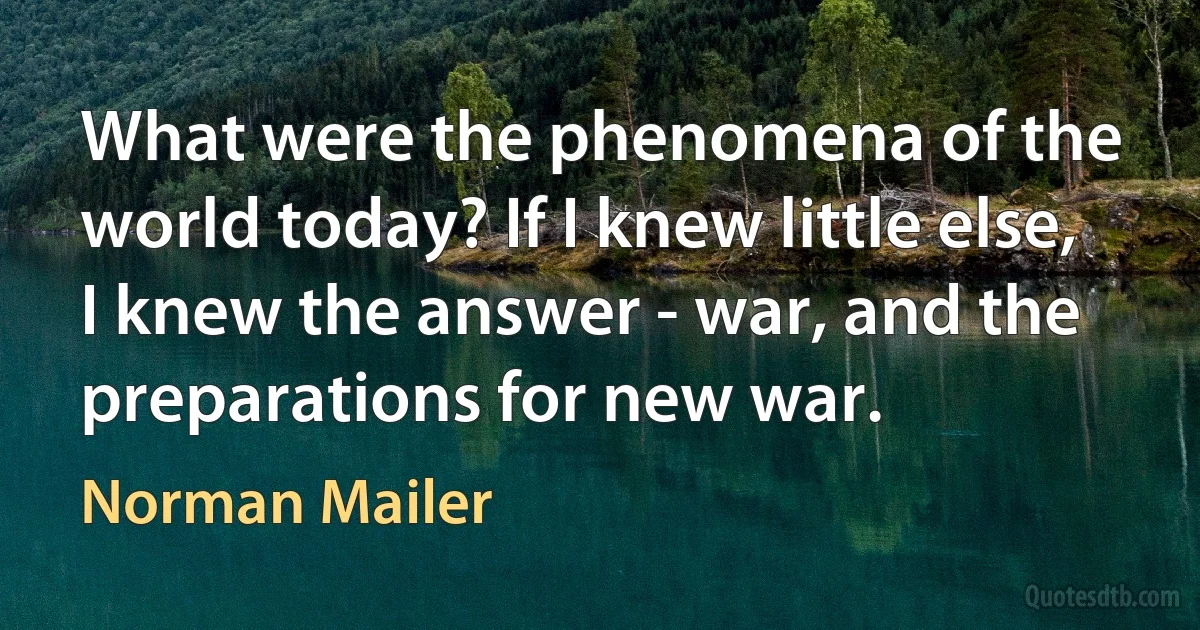 What were the phenomena of the world today? If I knew little else, I knew the answer - war, and the preparations for new war. (Norman Mailer)