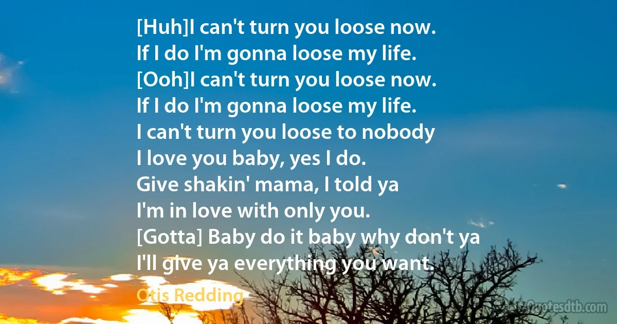 [Huh]I can't turn you loose now.
If I do I'm gonna loose my life.
[Ooh]I can't turn you loose now.
If I do I'm gonna loose my life.
I can't turn you loose to nobody
I love you baby, yes I do.
Give shakin' mama, I told ya
I'm in love with only you.
[Gotta] Baby do it baby why don't ya
I'll give ya everything you want. (Otis Redding)