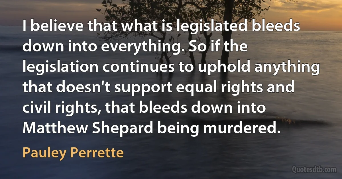 I believe that what is legislated bleeds down into everything. So if the legislation continues to uphold anything that doesn't support equal rights and civil rights, that bleeds down into Matthew Shepard being murdered. (Pauley Perrette)