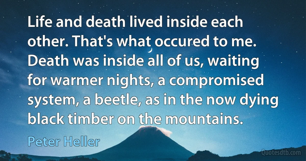 Life and death lived inside each other. That's what occured to me. Death was inside all of us, waiting for warmer nights, a compromised system, a beetle, as in the now dying black timber on the mountains. (Peter Heller)