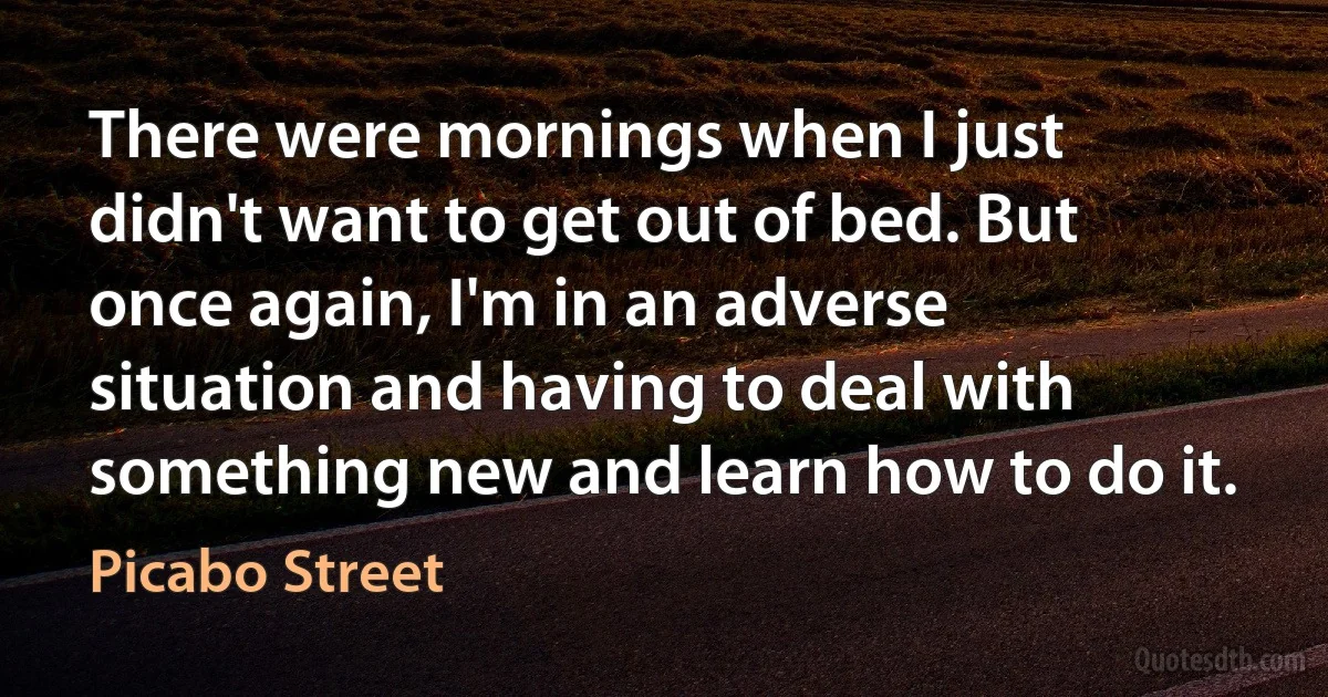 There were mornings when I just didn't want to get out of bed. But once again, I'm in an adverse situation and having to deal with something new and learn how to do it. (Picabo Street)