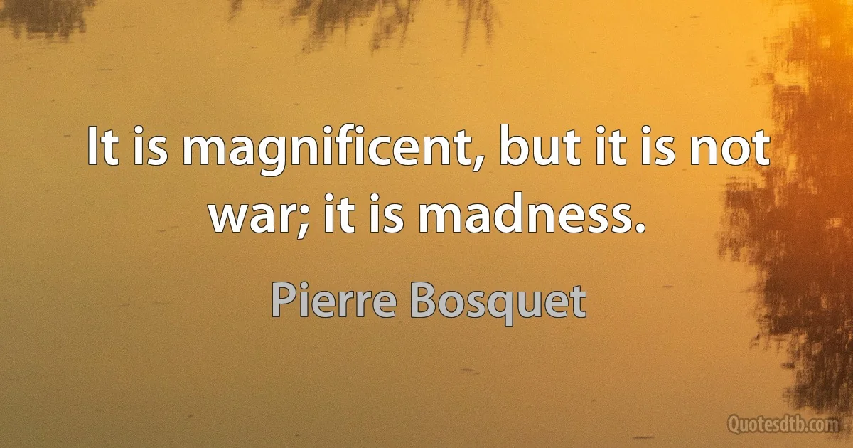 It is magnificent, but it is not war; it is madness. (Pierre Bosquet)