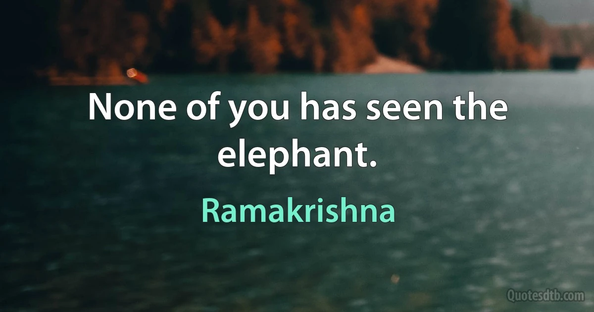 None of you has seen the elephant. (Ramakrishna)