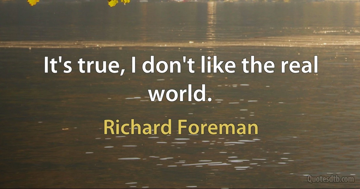 It's true, I don't like the real world. (Richard Foreman)