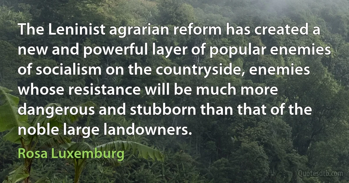 The Leninist agrarian reform has created a new and powerful layer of popular enemies of socialism on the countryside, enemies whose resistance will be much more dangerous and stubborn than that of the noble large landowners. (Rosa Luxemburg)