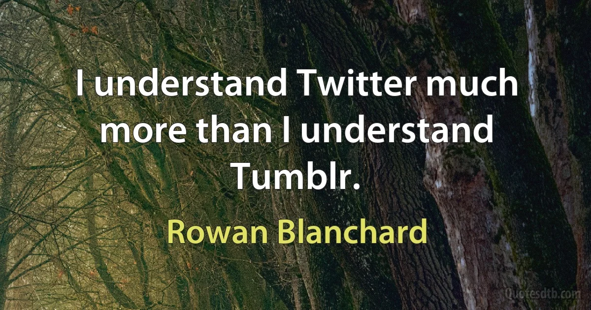 I understand Twitter much more than I understand Tumblr. (Rowan Blanchard)