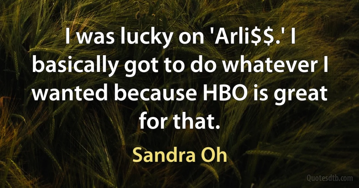 I was lucky on 'Arli$$.' I basically got to do whatever I wanted because HBO is great for that. (Sandra Oh)