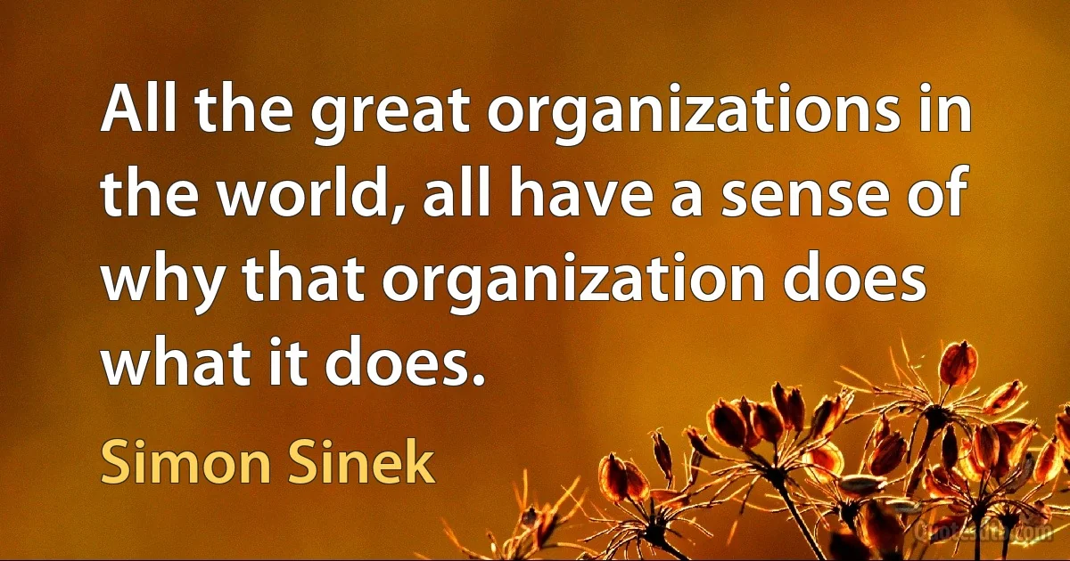 All the great organizations in the world, all have a sense of why that organization does what it does. (Simon Sinek)