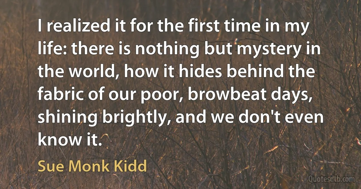 I realized it for the first time in my life: there is nothing but mystery in the world, how it hides behind the fabric of our poor, browbeat days, shining brightly, and we don't even know it. (Sue Monk Kidd)