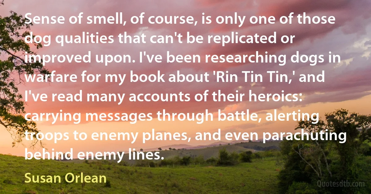 Sense of smell, of course, is only one of those dog qualities that can't be replicated or improved upon. I've been researching dogs in warfare for my book about 'Rin Tin Tin,' and I've read many accounts of their heroics: carrying messages through battle, alerting troops to enemy planes, and even parachuting behind enemy lines. (Susan Orlean)