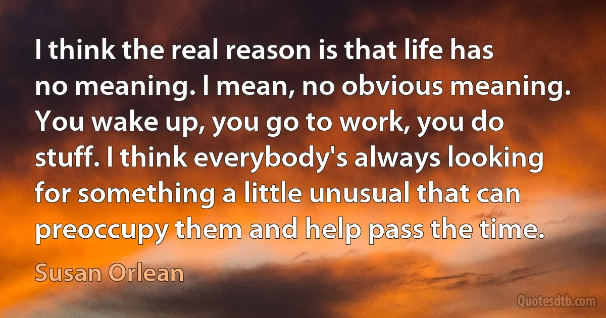 I think the real reason is that life has no meaning. I mean, no obvious meaning. You wake up, you go to work, you do stuff. I think everybody's always looking for something a little unusual that can preoccupy them and help pass the time. (Susan Orlean)