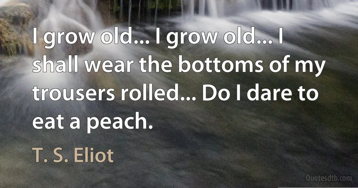 I grow old... I grow old... I shall wear the bottoms of my trousers rolled... Do I dare to eat a peach. (T. S. Eliot)