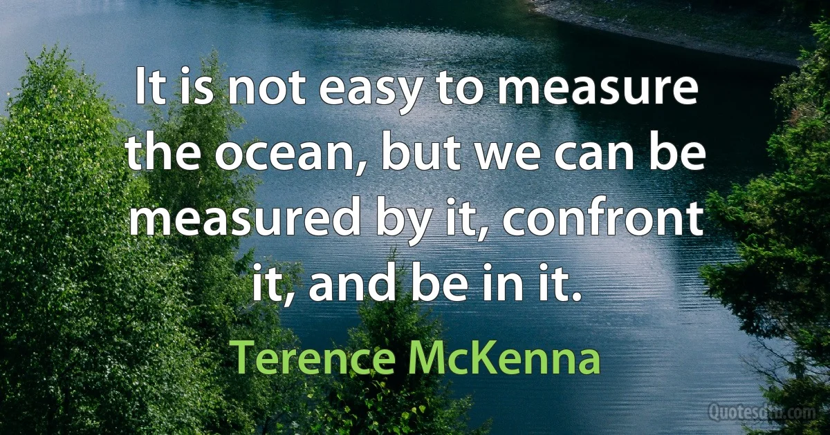 It is not easy to measure the ocean, but we can be measured by it, confront it, and be in it. (Terence McKenna)