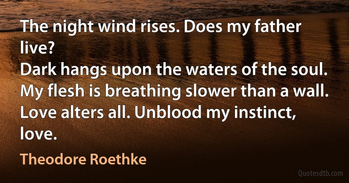 The night wind rises. Does my father live?
Dark hangs upon the waters of the soul.
My flesh is breathing slower than a wall.
Love alters all. Unblood my instinct, love. (Theodore Roethke)