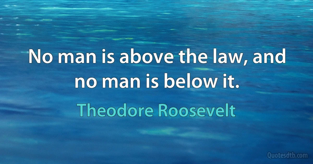 No man is above the law, and no man is below it. (Theodore Roosevelt)