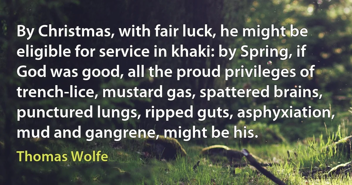 By Christmas, with fair luck, he might be eligible for service in khaki: by Spring, if God was good, all the proud privileges of trench-lice, mustard gas, spattered brains, punctured lungs, ripped guts, asphyxiation, mud and gangrene, might be his. (Thomas Wolfe)