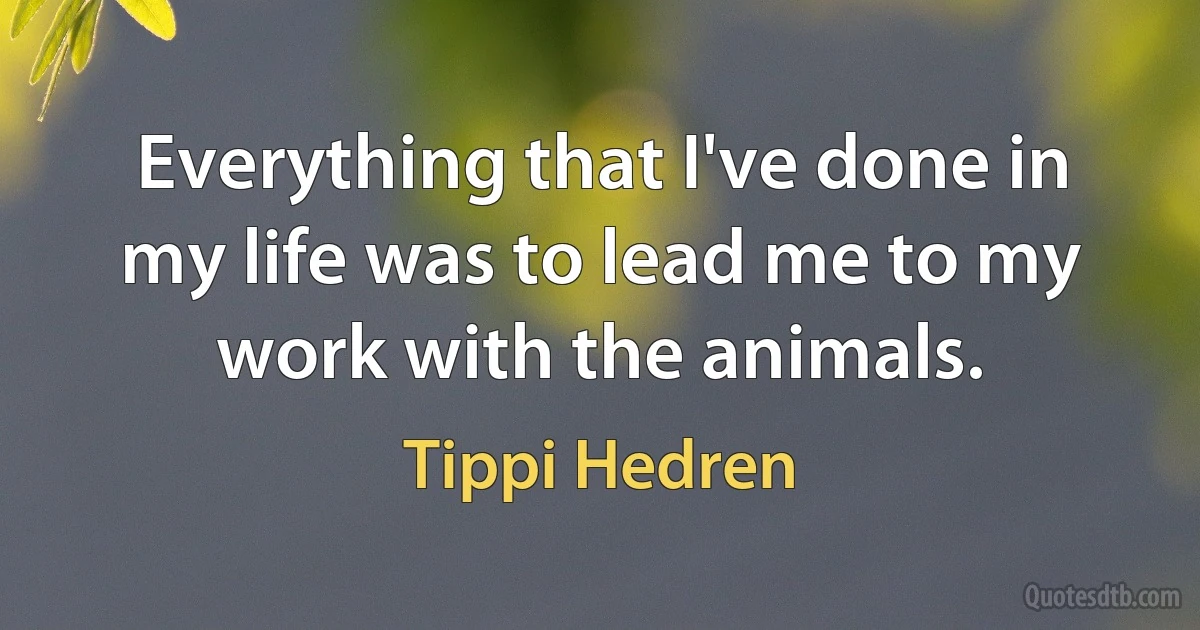 Everything that I've done in my life was to lead me to my work with the animals. (Tippi Hedren)