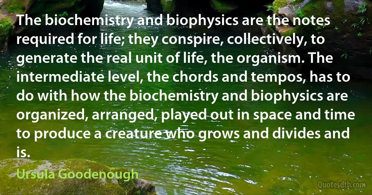 The biochemistry and biophysics are the notes required for life; they conspire, collectively, to generate the real unit of life, the organism. The intermediate level, the chords and tempos, has to do with how the biochemistry and biophysics are organized, arranged, played out in space and time to produce a creature who grows and divides and is. (Ursula Goodenough)