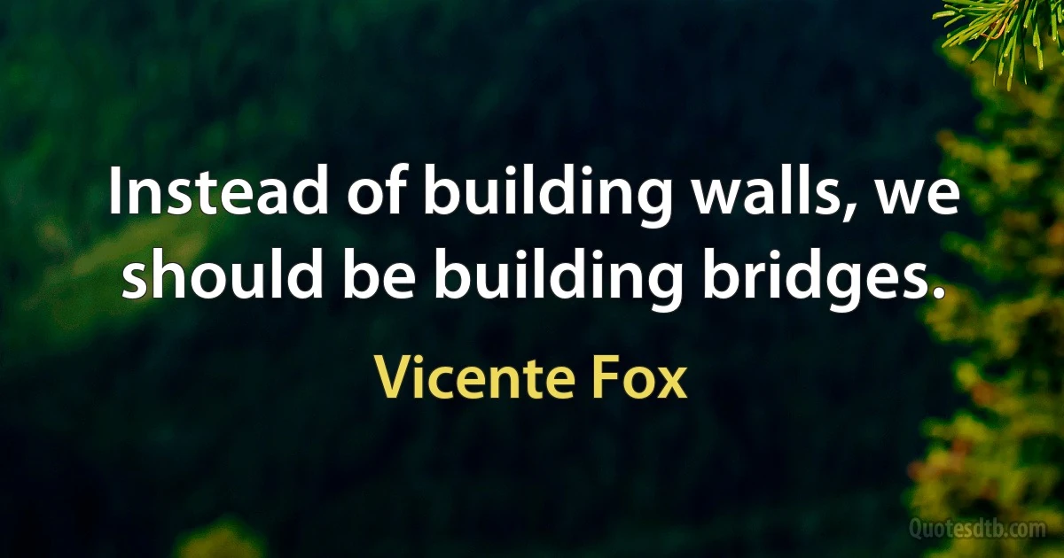 Instead of building walls, we should be building bridges. (Vicente Fox)