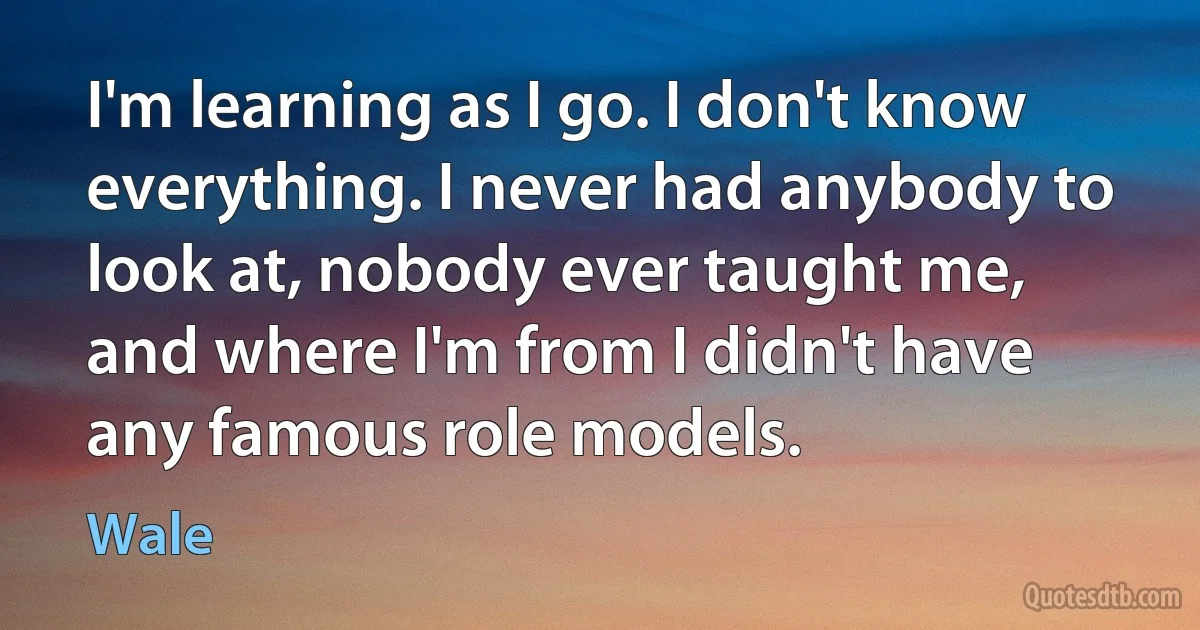 I'm learning as I go. I don't know everything. I never had anybody to look at, nobody ever taught me, and where I'm from I didn't have any famous role models. (Wale)