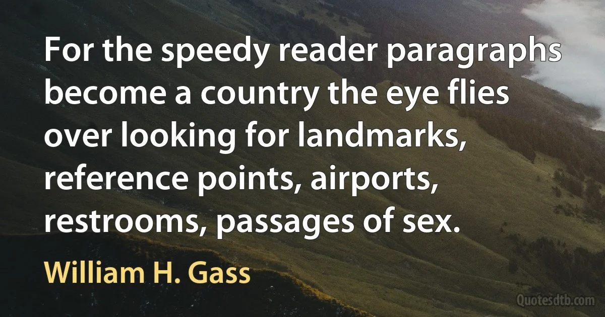 For the speedy reader paragraphs become a country the eye flies over looking for landmarks, reference points, airports, restrooms, passages of sex. (William H. Gass)